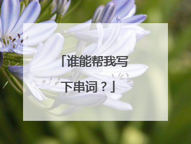 谁能帮我写下串词？