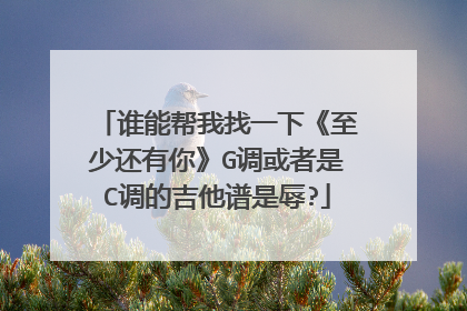 谁能帮我找一下《至少还有你》G调或者是C调的吉他谱是辱?