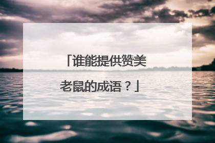 谁能提供赞美老鼠的成语？