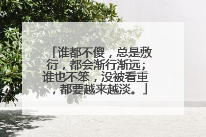 谁都不傻，总是敷衍，都会渐行渐远;谁也不笨，没被看重，都要越来越淡。