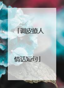调皮撩人情话短句