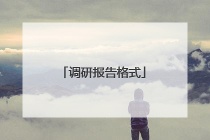 调研报告格式