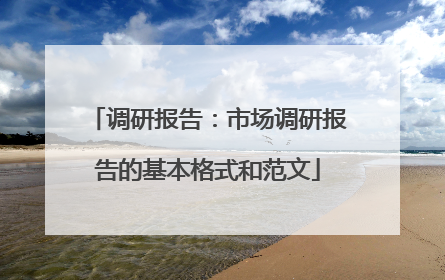 调研报告:市场调研报告的基本格式和范文