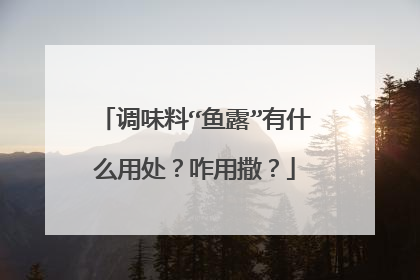 调味料“鱼露”有什么用处?咋用撒?