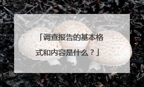 调查报告的基本格式和内容是什么？