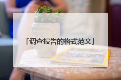 调查报告的格式范文