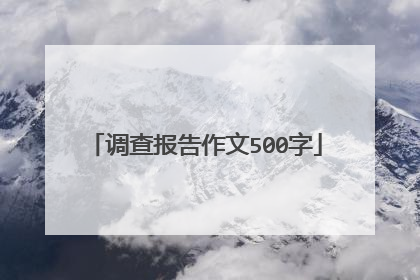 调查报告作文500字
