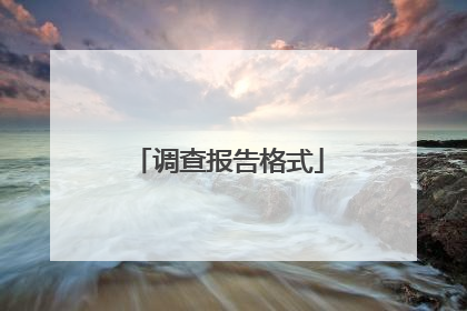 调查报告格式