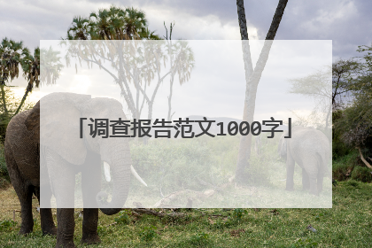 调查报告范文1000字