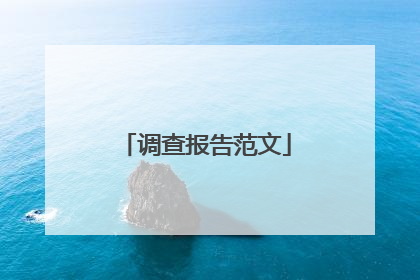调查报告范文
