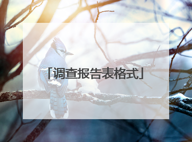 调查报告表格式