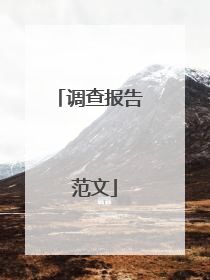 调查报告 范文