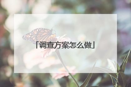 调查方案怎么做