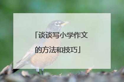 谈谈写小学作文的方法和技巧