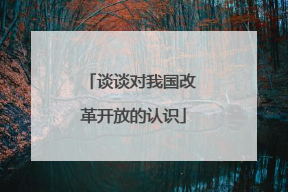 谈谈对我国改革开放的认识
