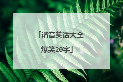 谐音笑话大全爆笑20字