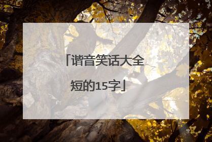 谐音笑话大全短的15字