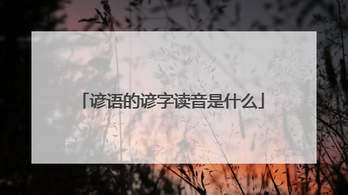 谚语的谚字读音是什么