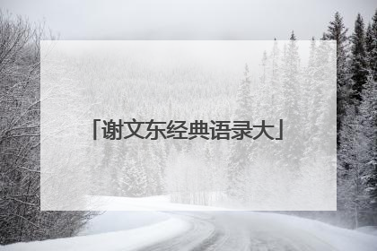 谢文东经典语录大