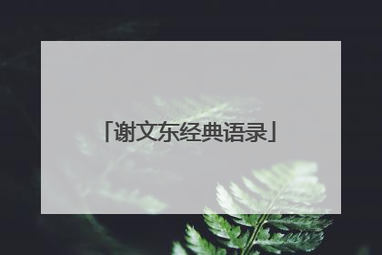 谢文东经典语录