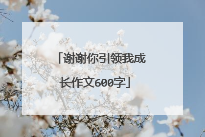 谢谢你引领我成长作文600字