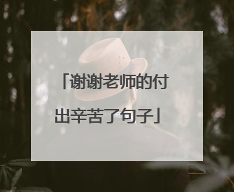 谢谢老师的付出辛苦了句子
