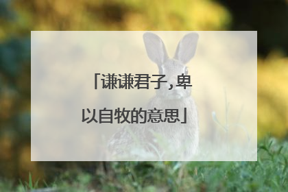 谦谦君子,卑以自牧的意思