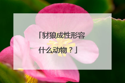 豺狼成性形容什么动物?