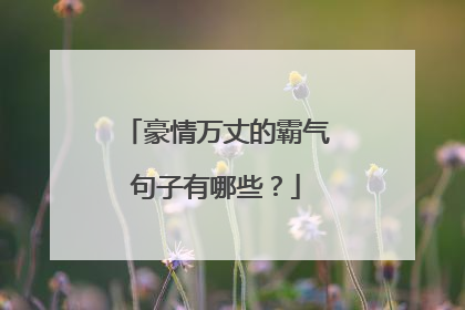 豪情万丈的霸气句子有哪些?