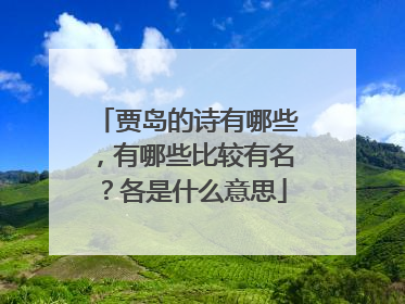 贾岛的诗有哪些,有哪些比较有名?各是什么意思