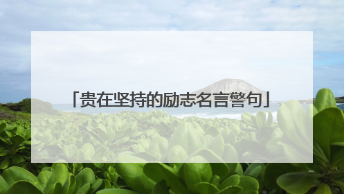 贵在坚持的励志名言警句