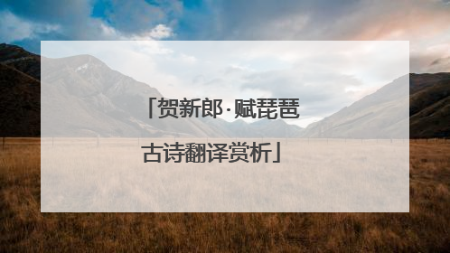 贺新郎·赋琵琶古诗翻译赏析