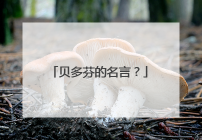 贝多芬的名言？