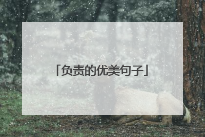 负责的优美句子