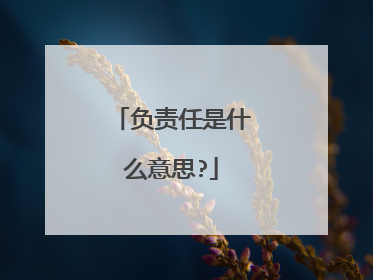 负责任是什么意思?