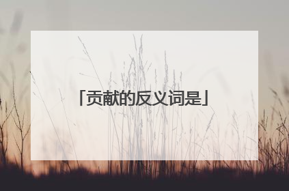 贡献的反义词是