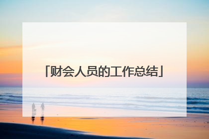 财会人员的工作总结