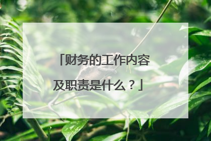 财务的工作内容及职责是什么?
