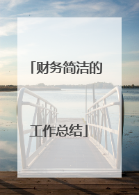 财务简洁的工作总结