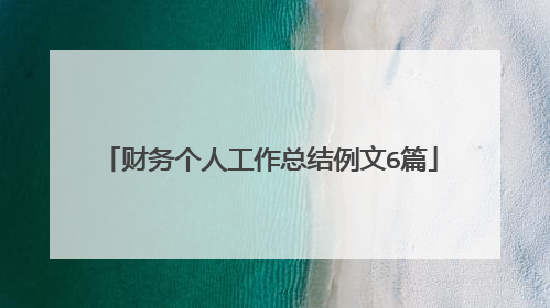 财务个人工作总结例文6篇