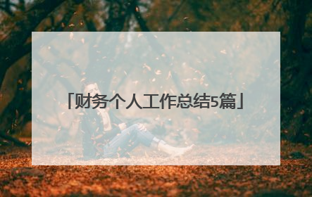 财务个人工作总结5篇