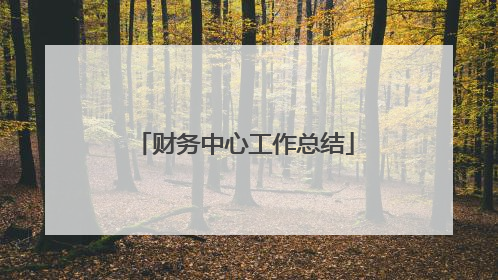 财务中心工作总结