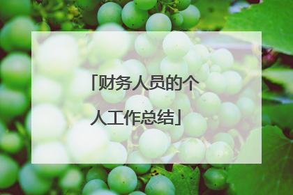 财务人员的个人工作总结