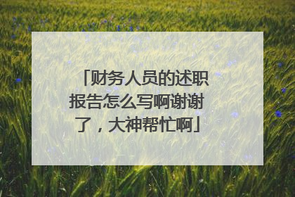 财务人员的述职报告怎么写啊谢谢了，大神帮忙啊