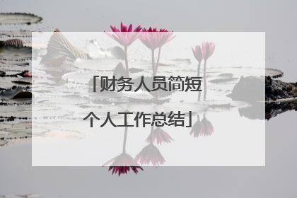 财务人员简短个人工作总结