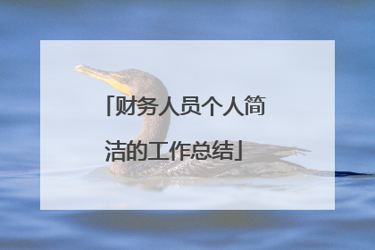 财务人员个人简洁的工作总结