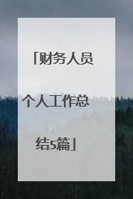 财务人员个人工作总结5篇