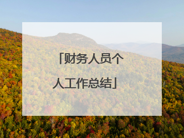 财务人员个人工作总结