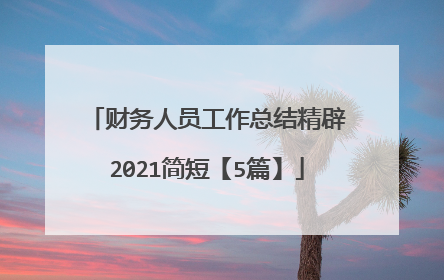 财务人员工作总结精辟2021简短【5篇】