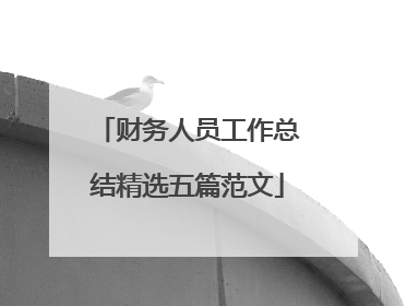 财务人员工作总结精选五篇范文